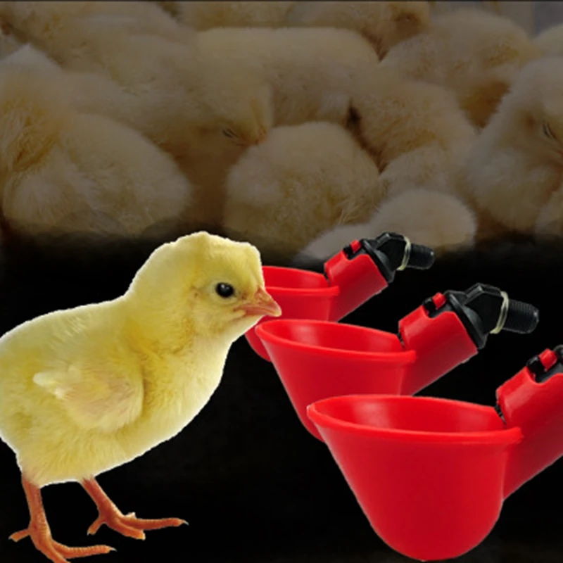 

40Pcs Poultry Chicken Drinker Cups Bird Water Bowl Drinking Dispenser Cups Bowls Water Drinker Tool for Bird Quai