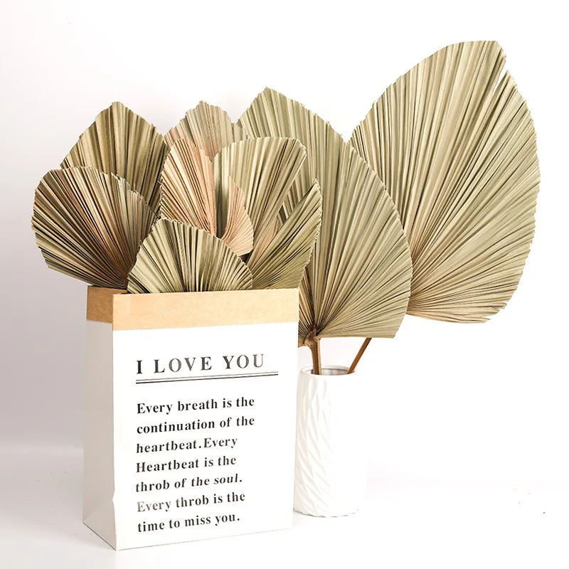 

Plantas Naturales Dried Flowers Pink Palm Leaves Home Wedding Party Jardin Decoration Photography Props