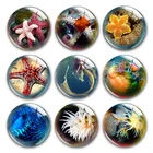 Стеклянный кабошон ручной работы с изображением морской звезды, с плоской спинкой, ошейник для самостоятельной сборки, изготовление ювелирных изделий