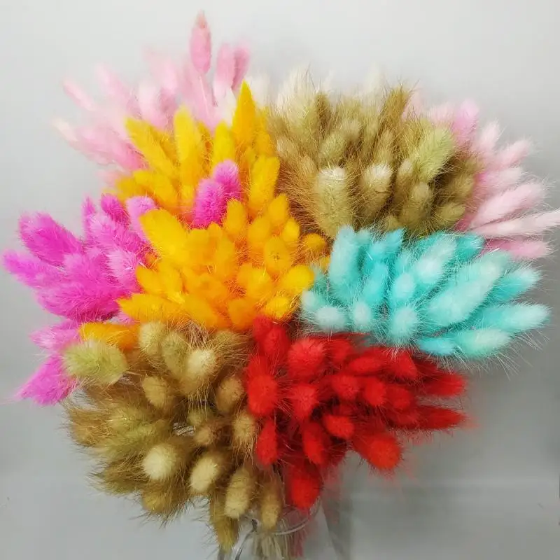 30 шт./лот натуральные высушенные цветы кроличий хвост трава букет цветных цветов