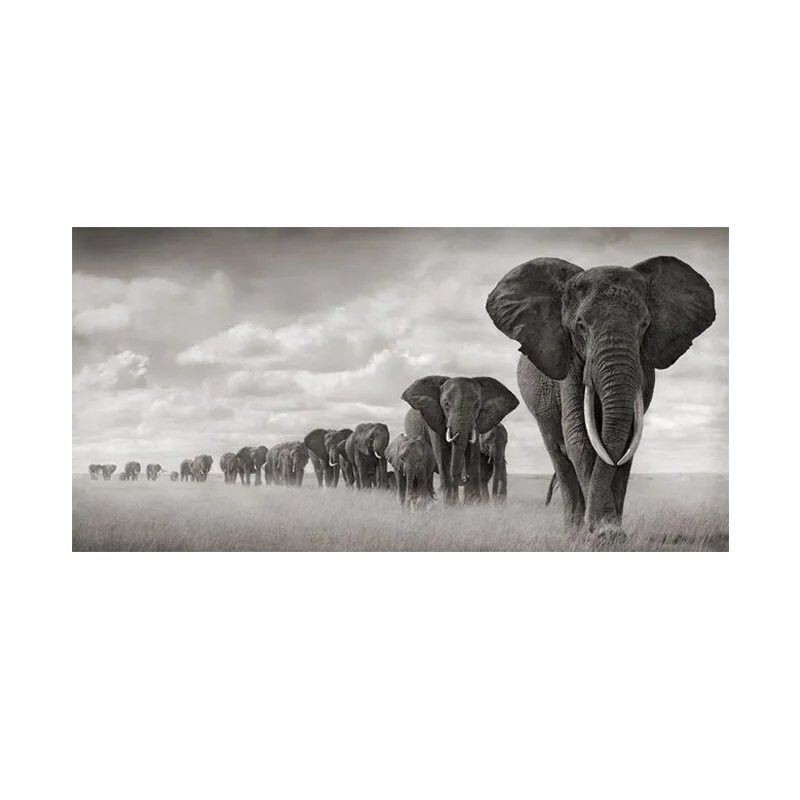 

African Elephant Canvas Mural Poster Prints Picture on African Animal Canvas Decoration Family Living Room Home Decoration Photo