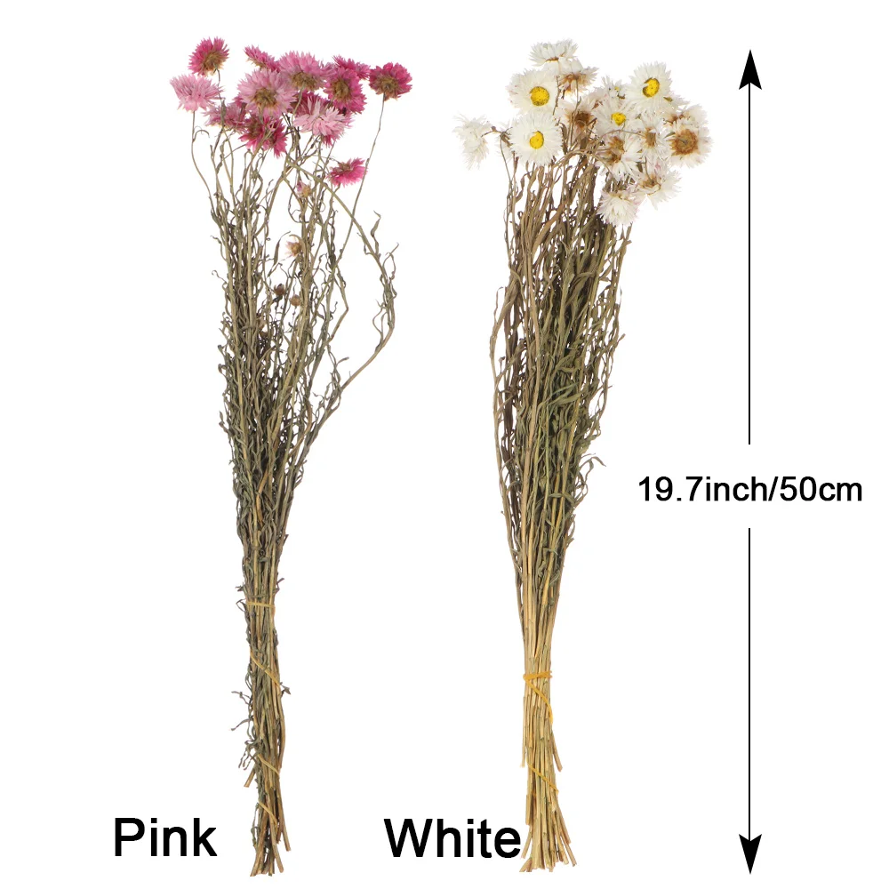 Маленький натуральный сушеный цветок Happy Flower миниатюрный для самостоятельного