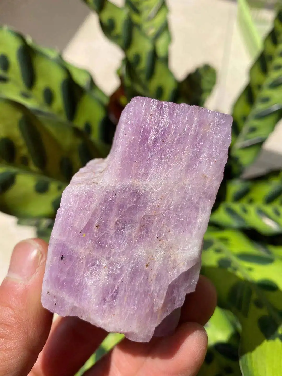 Natural raw kuzite stone natural crystal mineral specimen 1030g