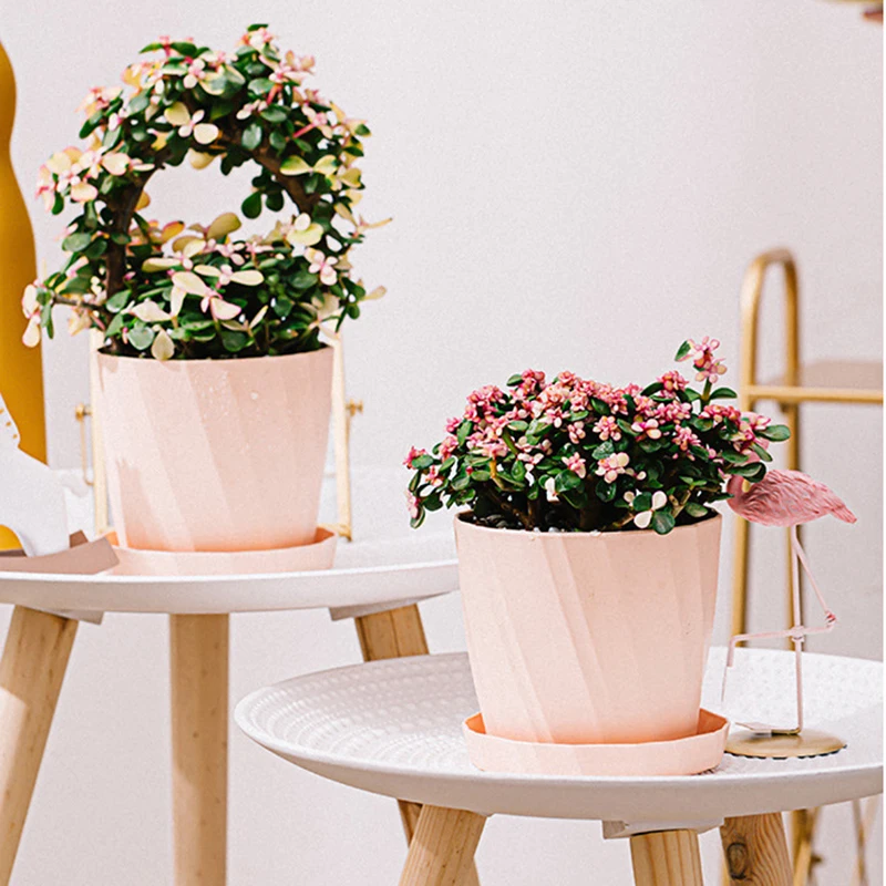 

Thicken Plastic Flower Pot Home Garden Decoration Fashion Flower Pot Succulent Pot with Tray PI669