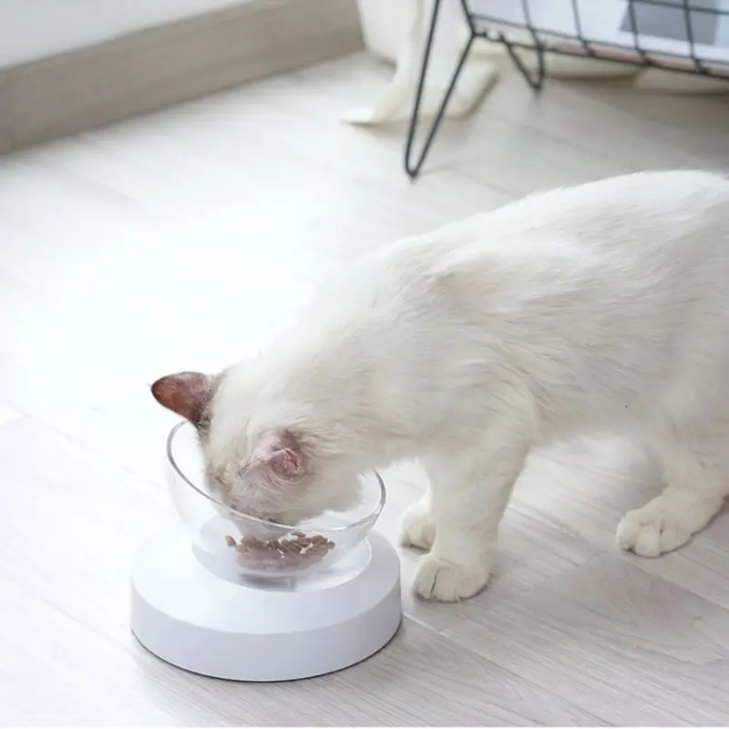 

aised Dog Food Transparent Tilted Bowl Detachable 0 or 20 Elevated Bowl