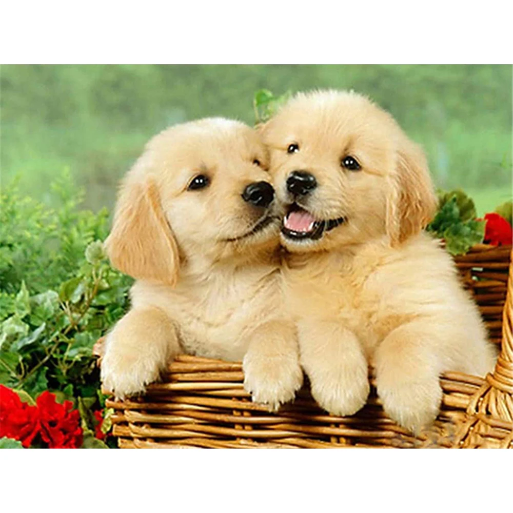 

Набор для вышивки крестиком в виде собаки 11 карат, набор для рукоделия, холст с принтом, хлопковая нить, украшение для дома