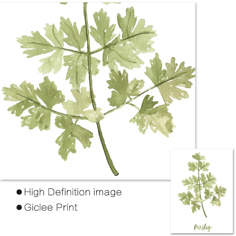 Травы Акварельная живопись кухонные принты шалфей Чабрец розмарин петрушка