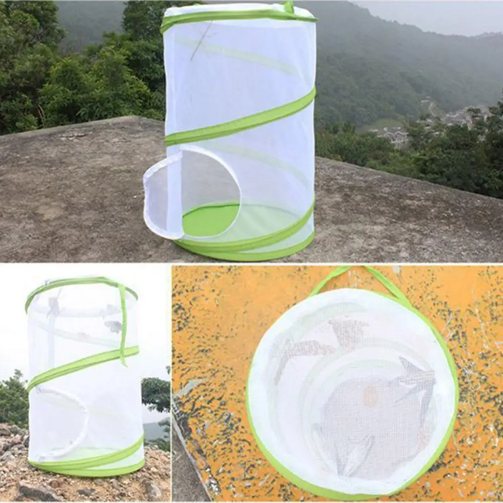 Большая сетчатая панель в виде насекомых и бабочек | Дом сад