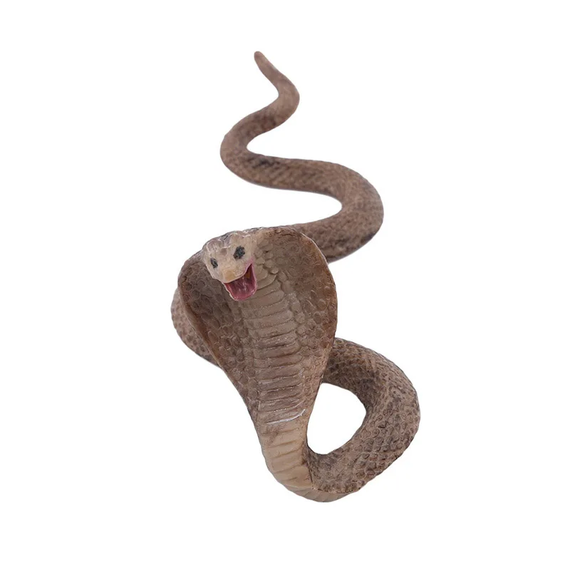 

New Style High Quality Educational Science Toy Multiple Styles Simulated Snake Model Toy For Kids Children Fashion Kids Toys