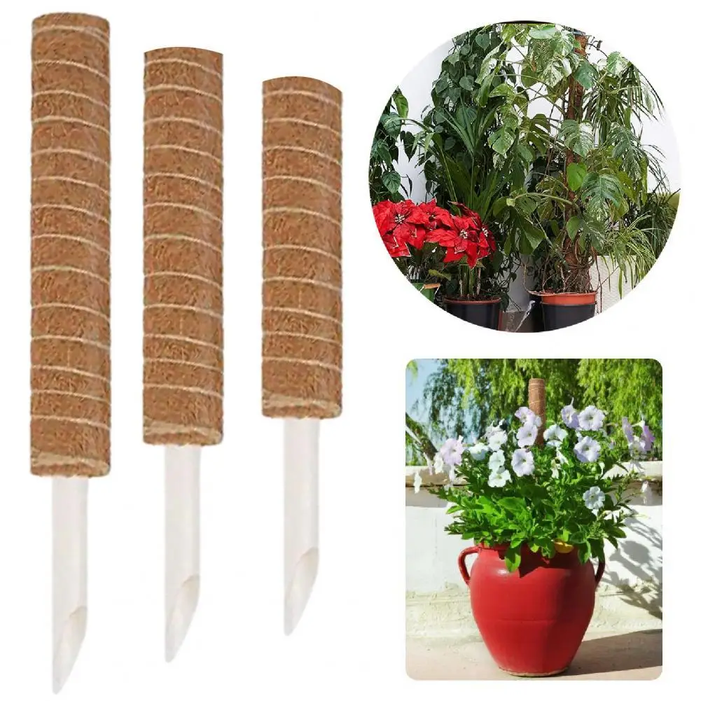 

Easy Installation Eco-Friendly Parterre Coconut Stake for Farmhouse