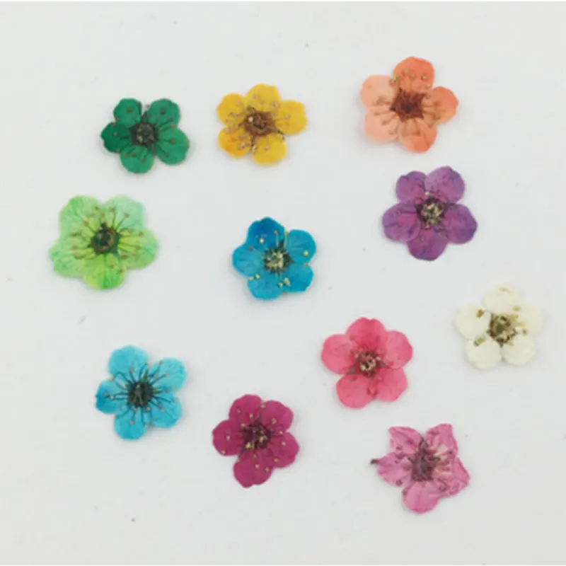 

30pcs/Set Nail Dry Flower Nail Art Decor Dry Dried Flowers DIY Tips Makeup Beauty Manicure Decorative Dried Flowers Random Color