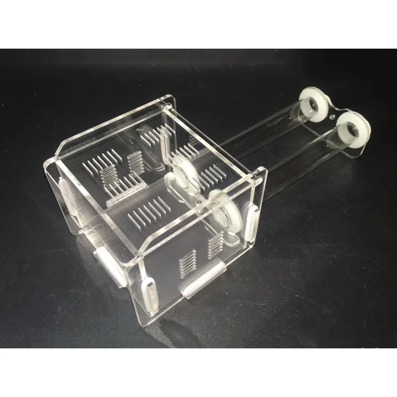 Новая акриловая пробирка гнездо живой муравей деятельности области муравья