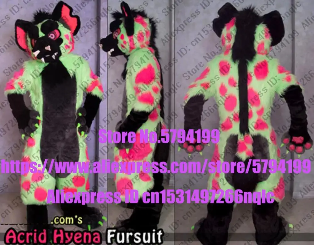 Индивидуальный доступный реальное фото кошка полный комплект Хаски собака