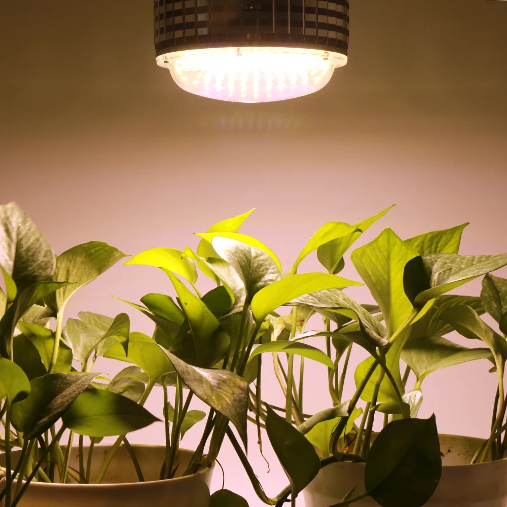 300LEDs 300W LED Grow Light Full Spectrum Warm Light Phytolamp Led Lamp for Indoor Plants grow box flowers bulb fitolampy