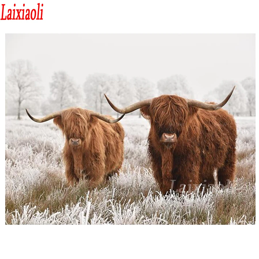 5D DIY алмазная живопись Highland корова полный квадратные Стразы сверла вышивка