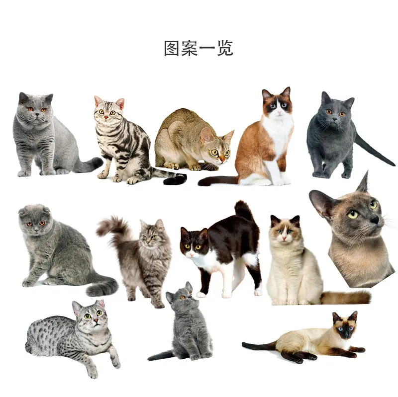 13 шт. DIY милый кот Стикеры дневник фотоальбом для ноутбука/Кот s бумага