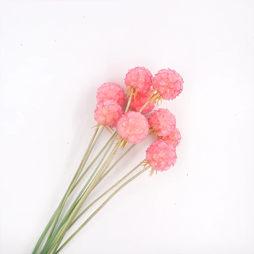 10 шт. конус сосны ветряная мельница для фруктов сохраненные цветы Рождественское