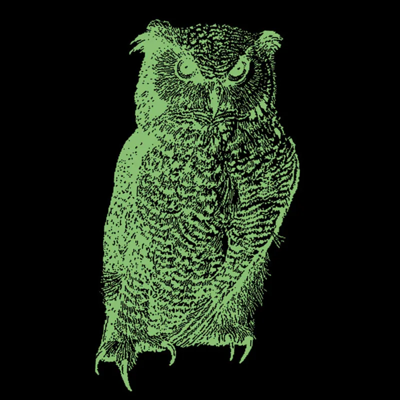 

Owl bird Patches Luminous Apparel Accessories Clothing Thermal Transfer Paper Iron Ons Sticker for Clothes Fluorescence Patch