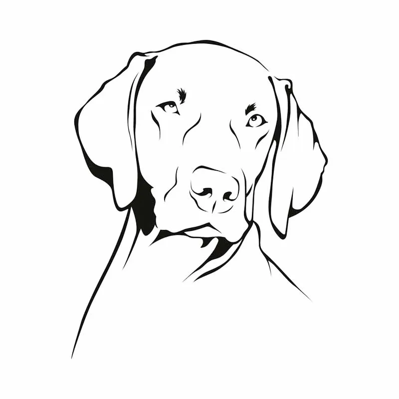 

Car Stickers Decor Motorcycle Decals Weimaraner Dog Animals Pets Vinyl Decorative Accessories Waterproof PVC,16cmx13cm