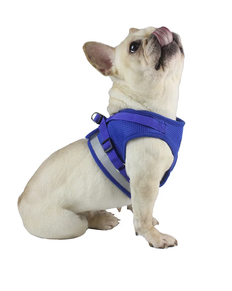 Комплект шлейки и поводка для собак чихуахуа нейлоновая сетчатая шлейка щенков