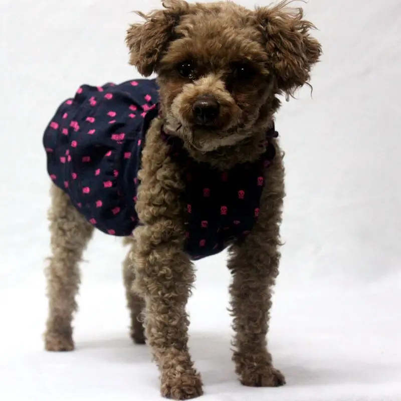 TOMEPETS Dog Dresses Doggy Princess Cute Skirt Skeleton Prints Cowboy Pet for Small Doggies Two Colors Available in 4 Sizes | Дом и сад