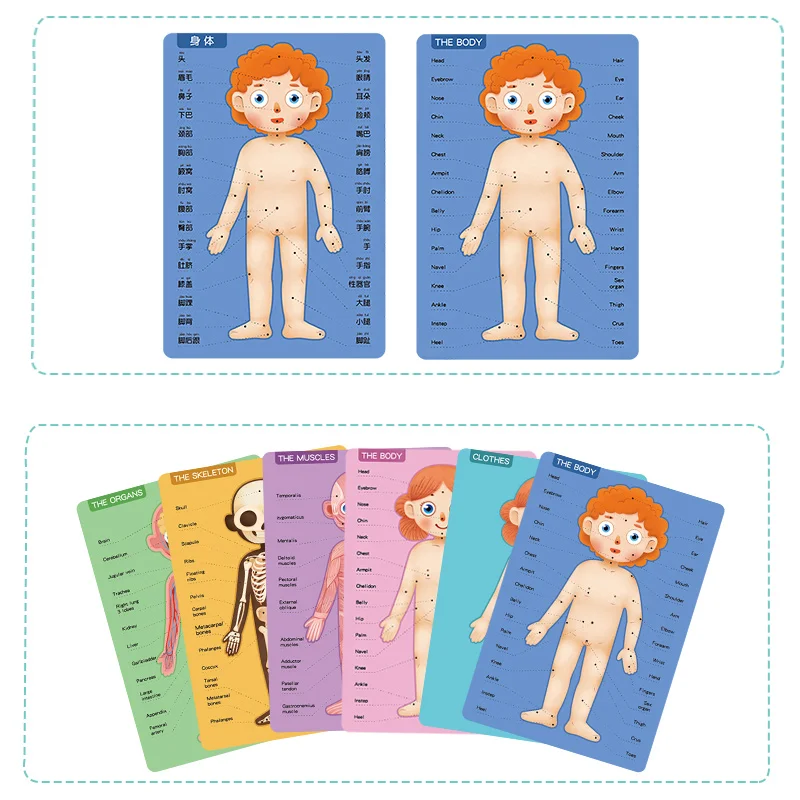 Магнитная 3D головоломка для человеческого тела конструкция игрушка Когнитивная