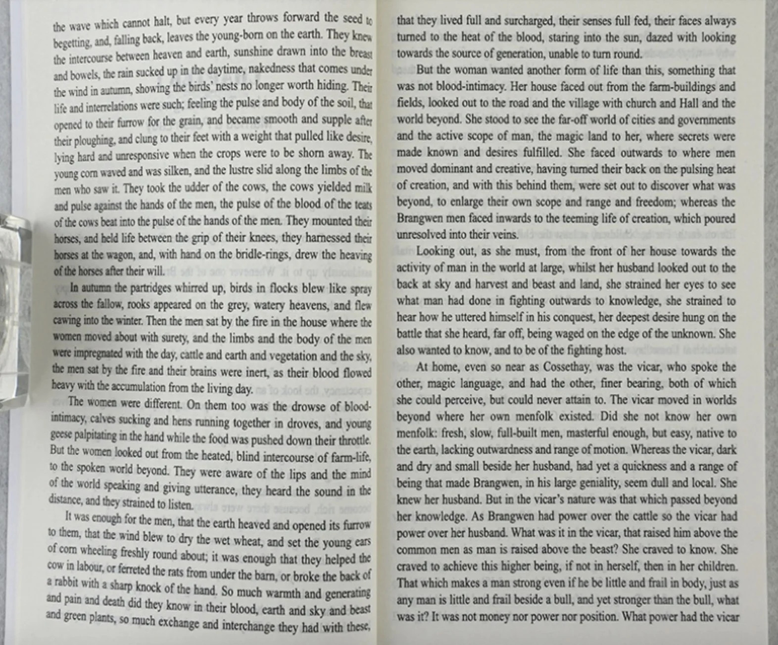 The Rainbow Herbert Lawrence Full English Edition Fiction Novel Book Classical Literature Kids Gift |