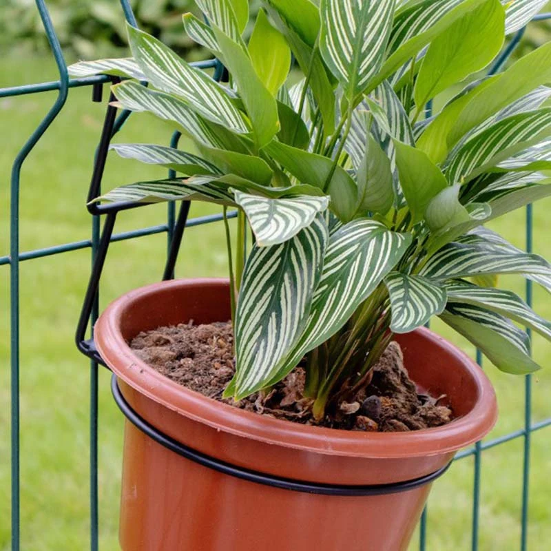 

Hanging Railing Home Decoration Planter Holders Anti-Rust Metal European Style Double Hook Wall-Mounted Flower Pot Stand