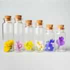 Маленькие стеклянные бутылочки с прозрачной пробковой пробкой, флаконы с рождественскими пожеланиями для праздника, свадьбы, украшения дома, подарки, 5 шт.