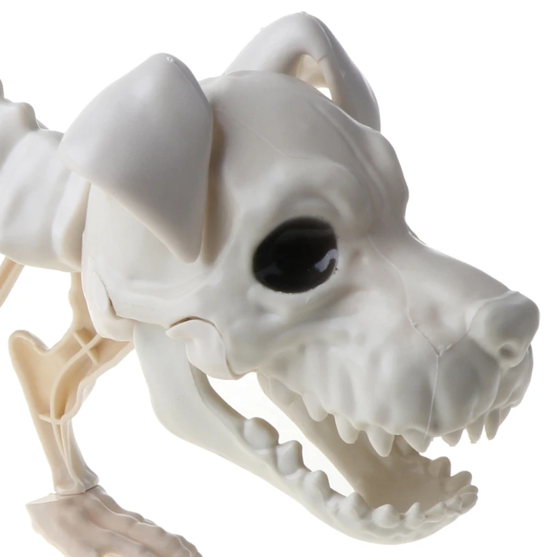 

Halloween Themed Party Ornaments Scary Standing Skeleton Dog Horrific Scene Prop