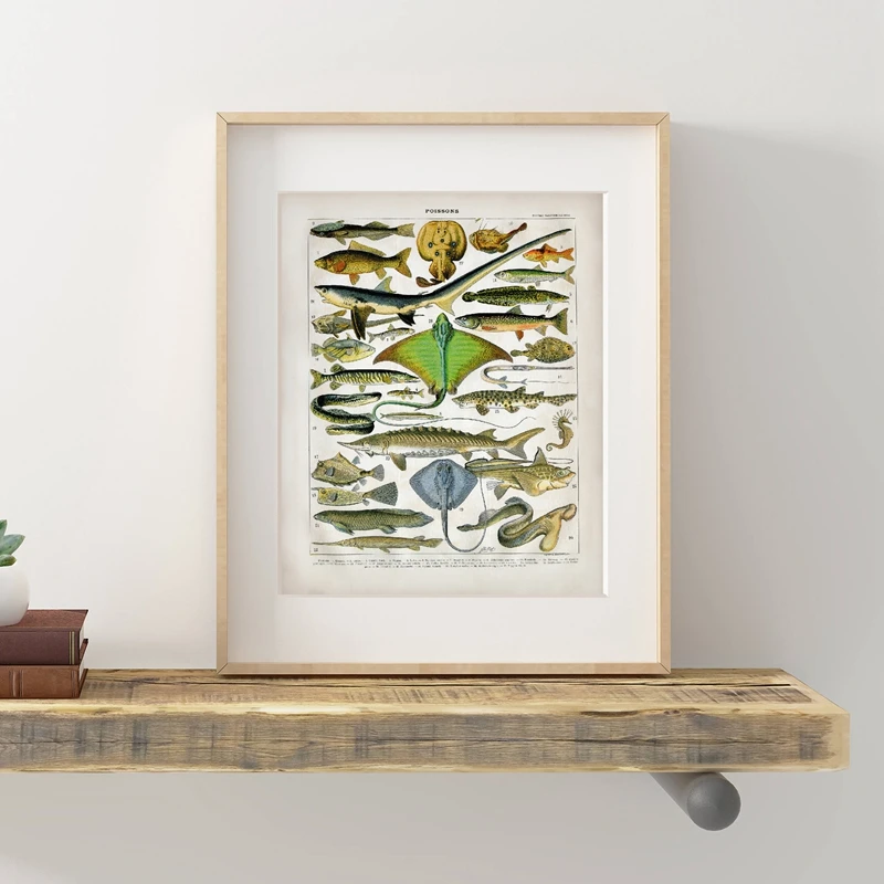 Ocean Animal Fish Canvas Poster Saltwater Prints Seahorse Shark Stingray Lamprey Eel Nature Lover Gift Beach Decor Painting | Дом и сад