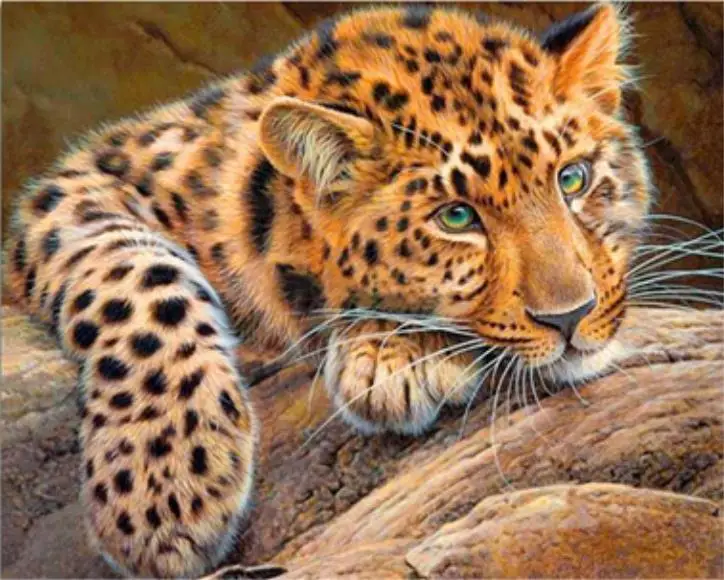 

Diamond Embroidery Painting 3D Full Drill Diamond Mosaic Cross Stitch Pasted Painting DIY Home Decora Craft animal leopard