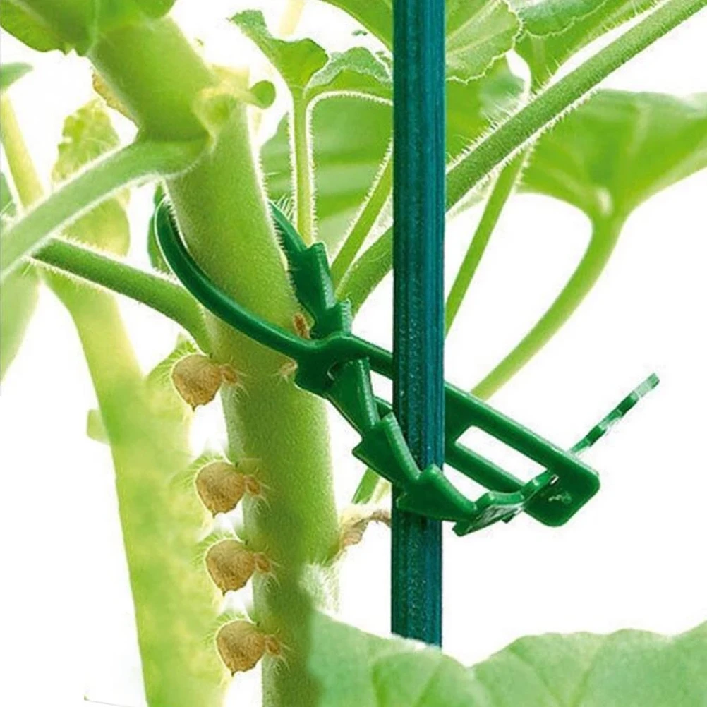 

100PCS Tree Ties Adjustable Plant Ties Garden Ties Flexible Plant Cable Ties for Supporting Rose Shrub Plants