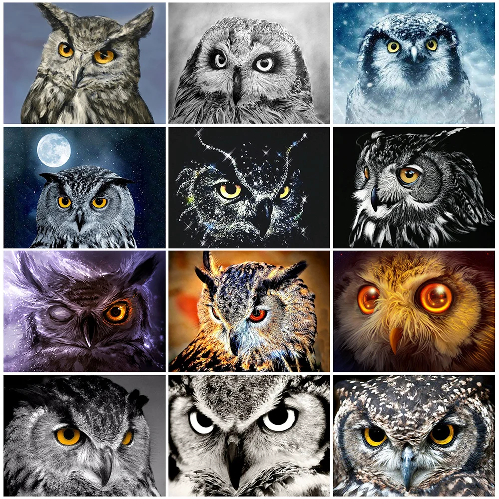 HUACAN 5D алмазная картина сова вышивка стразами животное полное квадратное сверло