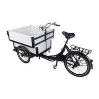 trends style electric mobile cargo bike white color motorized tricycles for adults family kids children scooter customizable