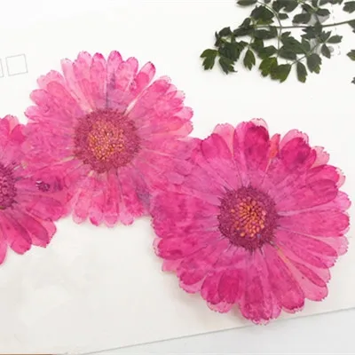 12pcs Natural Pressed Flowers rose Real Dried Calendula DIY Art Craft Valentines gift Bookmark Decoration Scented candle decor | Дом и сад