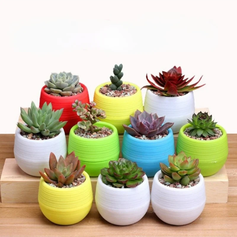 

Lovely Mini Flower Pots Planters For Succulents Colorful Indoor Herb Potted Plants For Office Decoration Garden Home Accessories