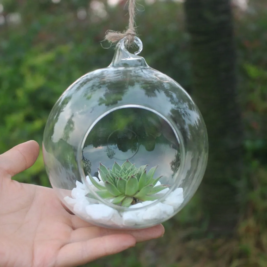 

8/10/12cm Transparent Hanging Glass Flower Planter Vase Bottle Terrarium Decor Mini Clear Wall Ball Flower Hanging Glass Tank