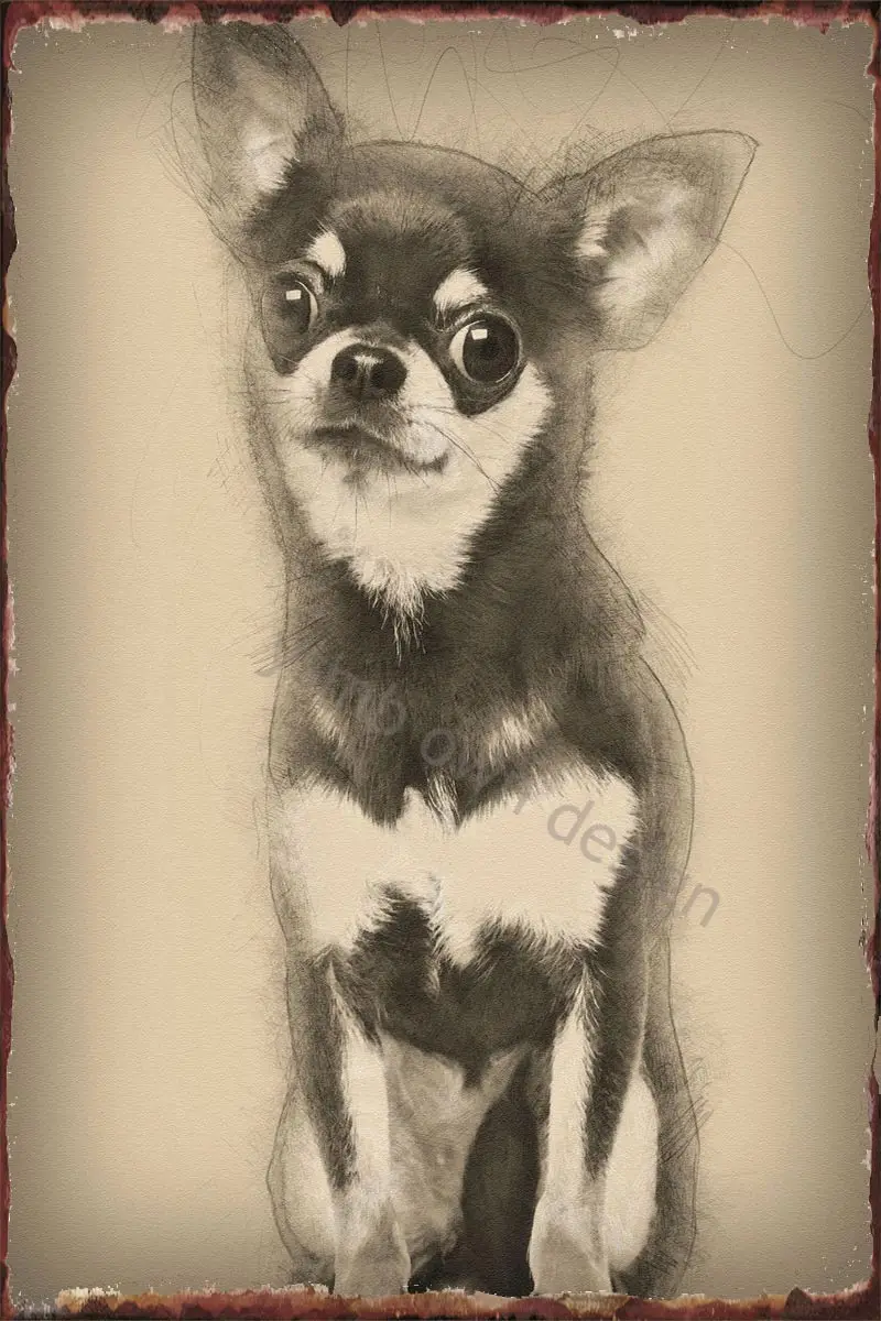 

Жестяной винтажный металлический знак чихуахуа в стиле ретро, 15 лет