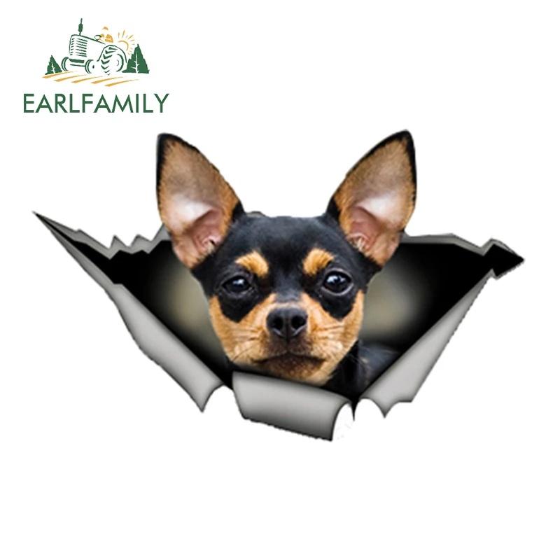 EARLFAMILY 13 см x 8 3 Виниловая наклейка для чихуахуа черного и желтого цвета рваная