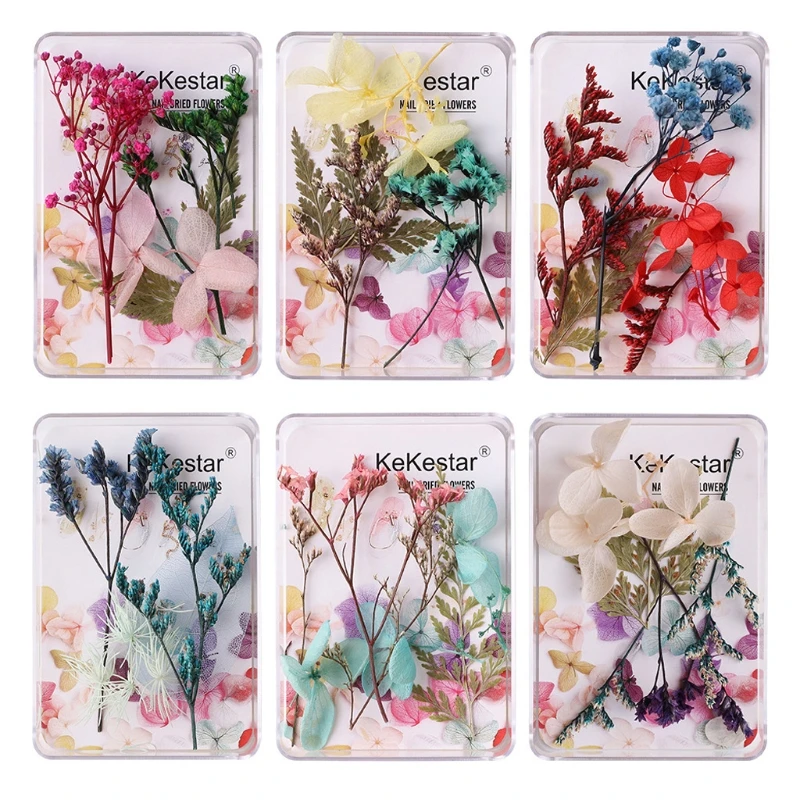 

12 Box Real Pressed Flower Leaf Dried Daisy Flower Resin Flower Dry Beauty Nail Art Epoxy Mold Fillings Jewelry Making