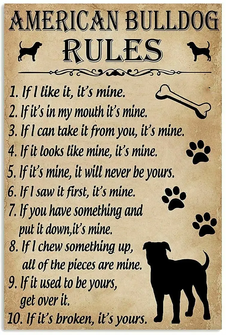 

Забавные правила для вашей собаки Американский бульдог двор садовая ферма Настенный декор плакат металлический знак 8x12 дюймов металлическ...