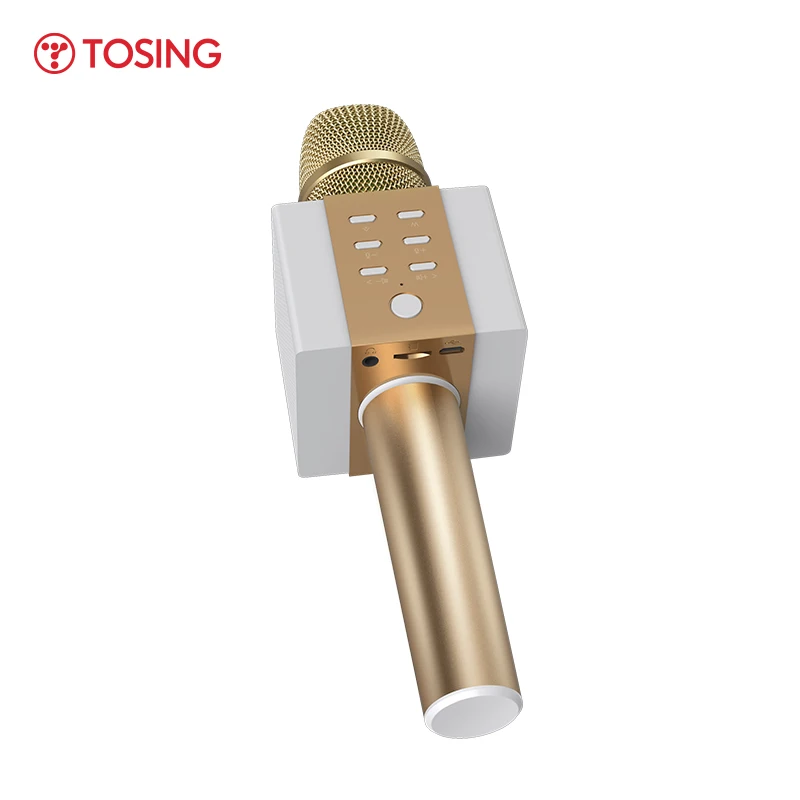 Tosing микрофон для караоке Bluetooth Колонка встреч и вечерние двойной динамик громкий