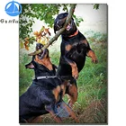 3d Алмазная живопись 5d Бриллиантовая мозаика с животным Rottweiler с собакой, вышивка крестиком, забавная Милая Алмазная вышивка с животными, новое украшение для дома