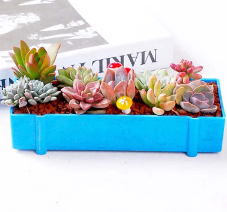 Розовый суккуленты цветочный горшок креативный прямоугольник плантатор для