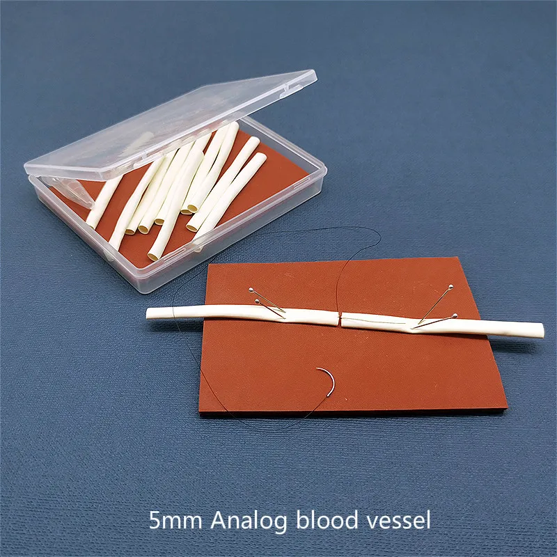 

Bowel anastomosis training model laparoscopic skill suture training mold medical teaching tools and instruments set
