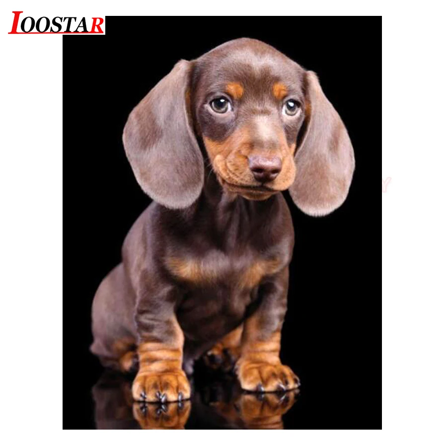 Алмазная живопись 5D с изображением сосисок щенков алмазная вышивка сделай сам