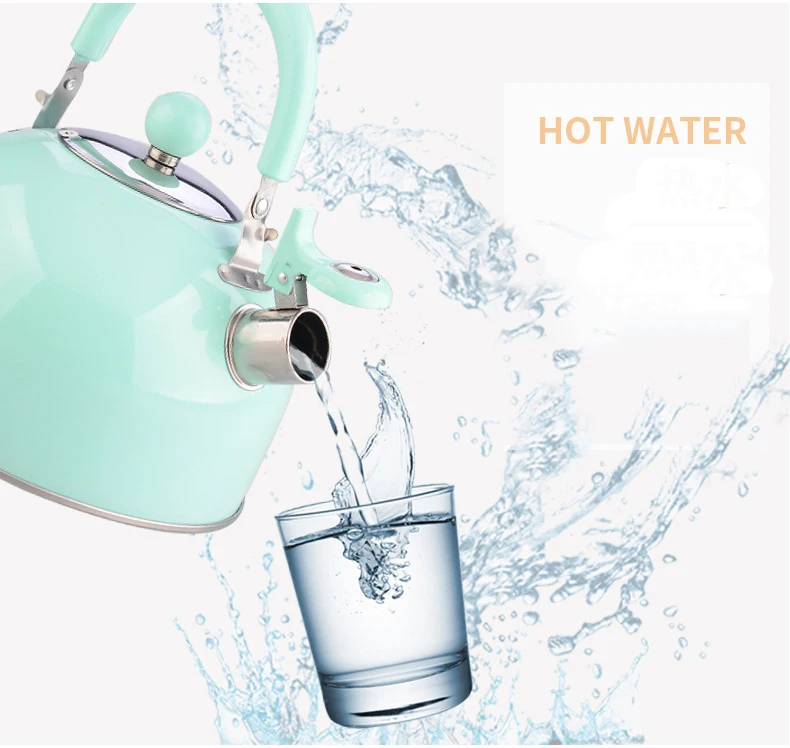 2 5 L Немагнитный толстый чайник из нержавеющей стали со звуком полусферический