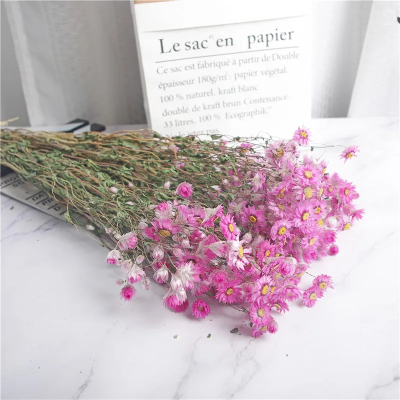 

Dried Flower Pink Room Decoration Outdoor Garden Accessories Natural Artificial Plants Gift Office Party SuppliesThe Background