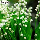 Алмазная мозаика 5D с изображением колокольчика, орхидеи, алмазная живопись, вышивка крестиком, 3d маленький свежий цветок, домашний декор, вышивка, полная вышивка, рукоделие